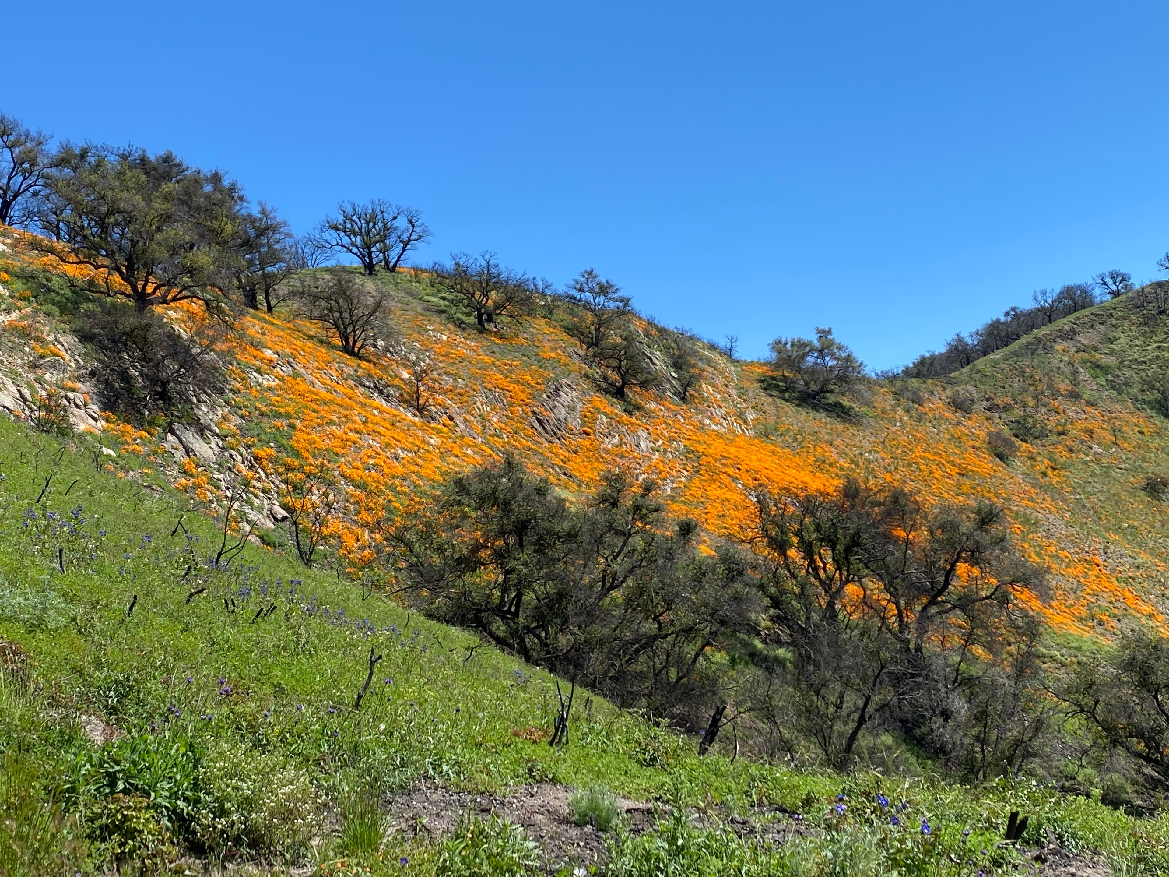 Hunting landscape on the ranch